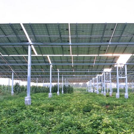 โครงสร้างพลังงานแสงอาทิตย์ฟาร์ม
